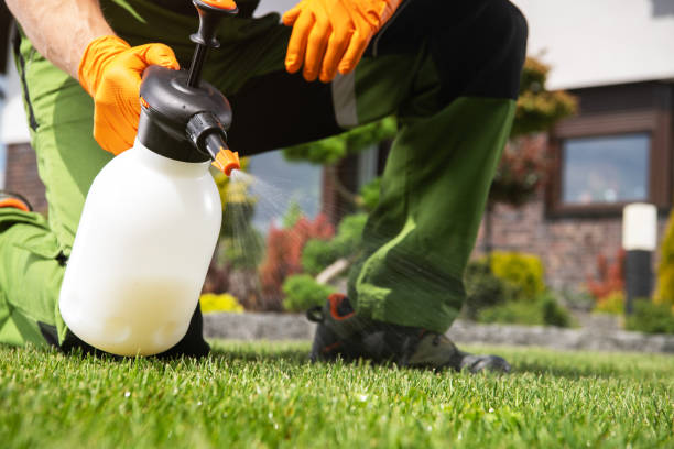 Best Affordable Pest Control Services  in Jersey Shore, PA